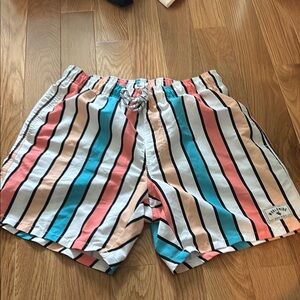 Blue and Pink Vertical Striped Swim Trunks